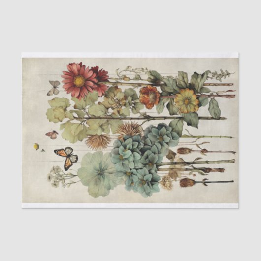 Botanische bloem illustraties op perkament nr. 6 tissuepapier (Voorkant)