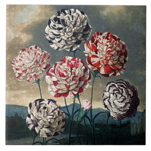 Botanische Bloemen Anjers Keramiek Tegeltje