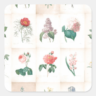  botanische bloemen door Redoute Vierkante Sticker