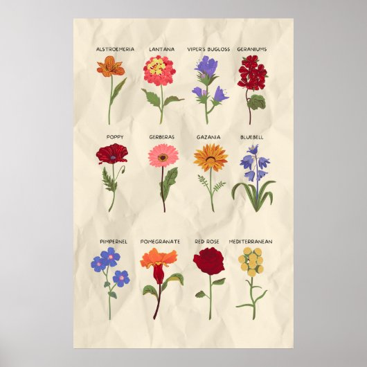 botanische bloemkunst poster (Voorkant)