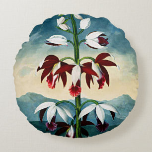 Botanische Blooms China Limodoron Kussens