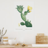  Botanische Cactus Illustratie, Retro Poster (Keuken)