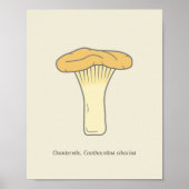 Botanische Chanterelle-paddenstoel Poster (Voorkant)