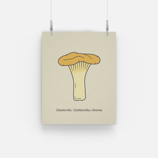 Botanische Chanterelle-paddenstoel Poster