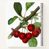 Botanische Cherry Stems Recipe Organizer Notitieboek (Achterkant)