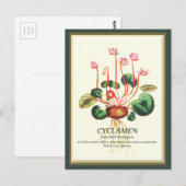  Botanische Cyclamen Tuin bloemkunst Briefkaart (Voorkant / Achterkant)