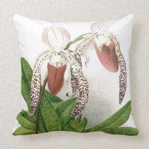 Botanische Cypripedium Orchid Flowers Floral Pillo Kussen