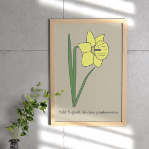 Botanische Daffodil pastelbloem Poster