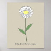 Botanische Daisy Pastel Bloem Poster (Voorkant)