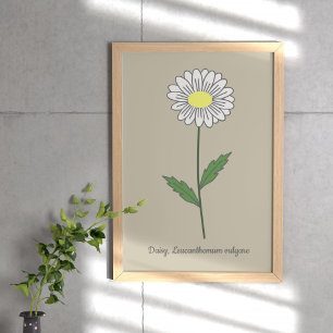 Botanische Daisy Pastel Bloem Poster