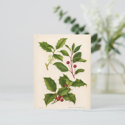 Botanische Druk - Berg & Amerikaanse Hulst Briefkaart (Staand voorkant)