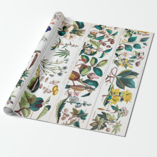 botanische educatieve kaart cadeaupapier