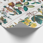  botanische educatieve kaart cadeaupapier (Hoek)