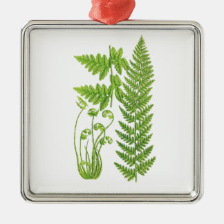 Botanische fern Illustratie nr. 7 Tropisch decor Metalen Ornament