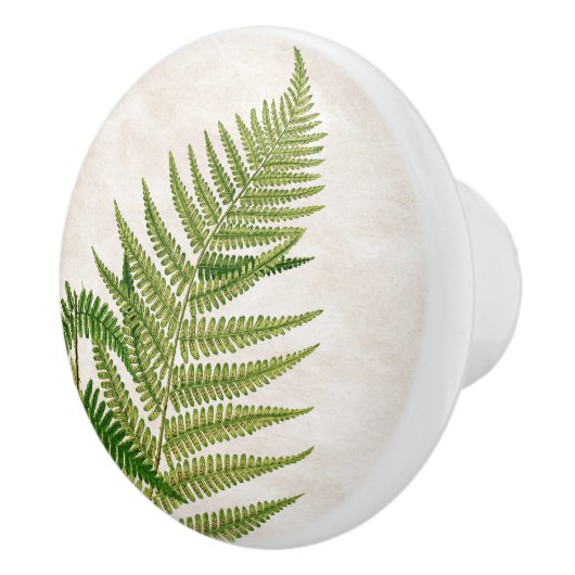 Botanische fern Leaves Art Knob Keramische Knop (Rechts)