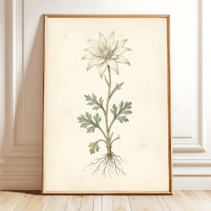Botanische Flanel Bloem Canvas Print Kunst