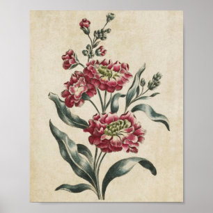  botanische Floral, dubbelzijdige afdrukken Poster