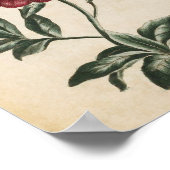  botanische Floral Peony Print (Hoek)