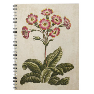 Botanische Floral Polianthus Illustratie Notitieboek