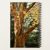 Botanische foto van Japanse Stewartia-boom Notitieboek (Achterkant)