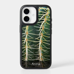 Botanische foto van Tropische Sphere Cactus