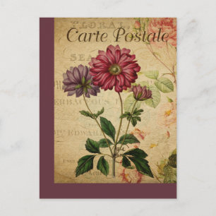 Botanische Franse Post Kaart Anemone