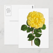 Botanische Gele Pioen Briefkaart (Voorkant / Achterkant)