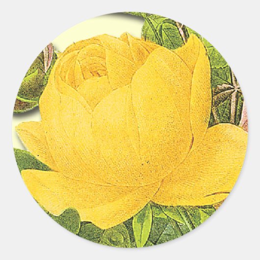 Botanische gele rozenbok ronde sticker (Voorkant)