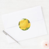 Botanische gele rozenbok ronde sticker (Envelop)