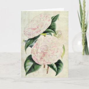  botanische graafschappen van Derby Camellia Kaart