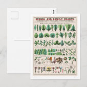  botanische grafiek: Bladeren en bloemen Briefkaart (Voorkant / Achterkant)