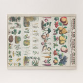botanische grafiek: economisch gebruik van Plante Legpuzzel (Horizontaal)