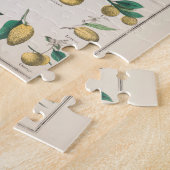 botanische grafiek: economisch gebruik van Plante Legpuzzel (Zijkant)