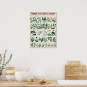 botanische grafiek poster (Keuken)