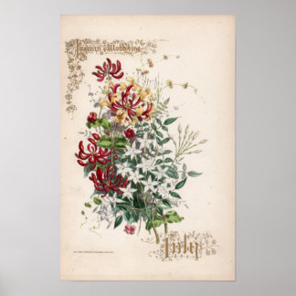 Botanische gravures, juli poster