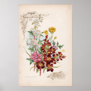 Botanische gravures, mei poster