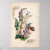 Botanische gravures, oktober poster (Voorkant)