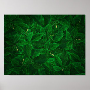 Botanische Greenery Leaf Pile Poster