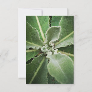Botanische groene bladeren wenskaart kaart