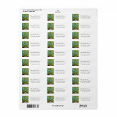 Botanische groene Cactus Return Address Label (Full Sheet)