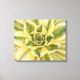 Botanische, groene Succulente foto op canvas Afdruk