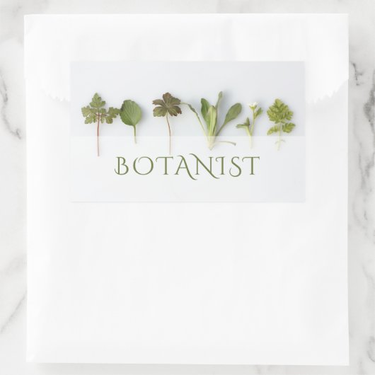 botanische handel rechthoekige sticker (Tas)