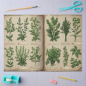 Botanische Herbarium Decoupage  varens, Tissuepapier (Craft)