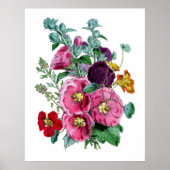  Botanische Hollyhocks Poster (Voorkant)