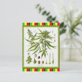  Botanische Illustratie, 1897 - A onkruid Briefkaart (Staand voorkant)