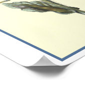 Botanische illustratie "borage" poster (Hoek)