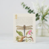  botanische illustratie briefkaart (Staand voorkant)