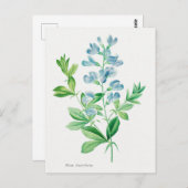  Botanische illustratie Briefkaart (Voorkant / Achterkant)