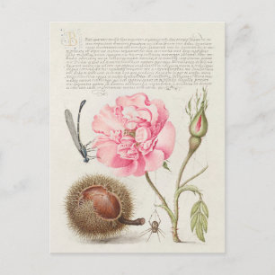  botanische illustratie briefkaart