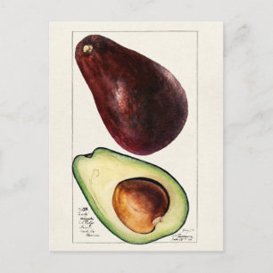  botanische illustratie briefkaart